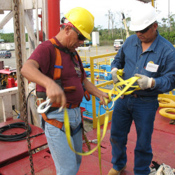 Capacidad y Profesionalismo